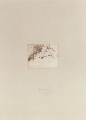 Joseph Beuys - Hirschkopf aus der Suite Tränen, 1985, etching on thin paper laid down on white wove