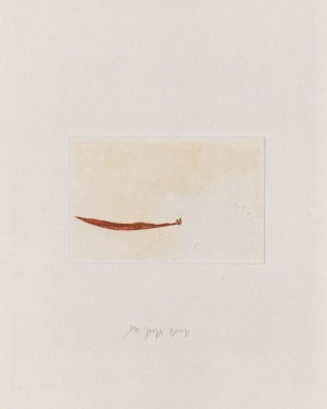 Joseph Beuys - Suite Zirkulationszeit: Meerengel die Seegurke, 1982, etching and aquatint on white wove