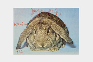 Joseph Beuys - DDR-Hase, 1979, color postcard with handwritten addition