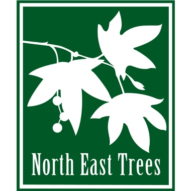 North East Trees