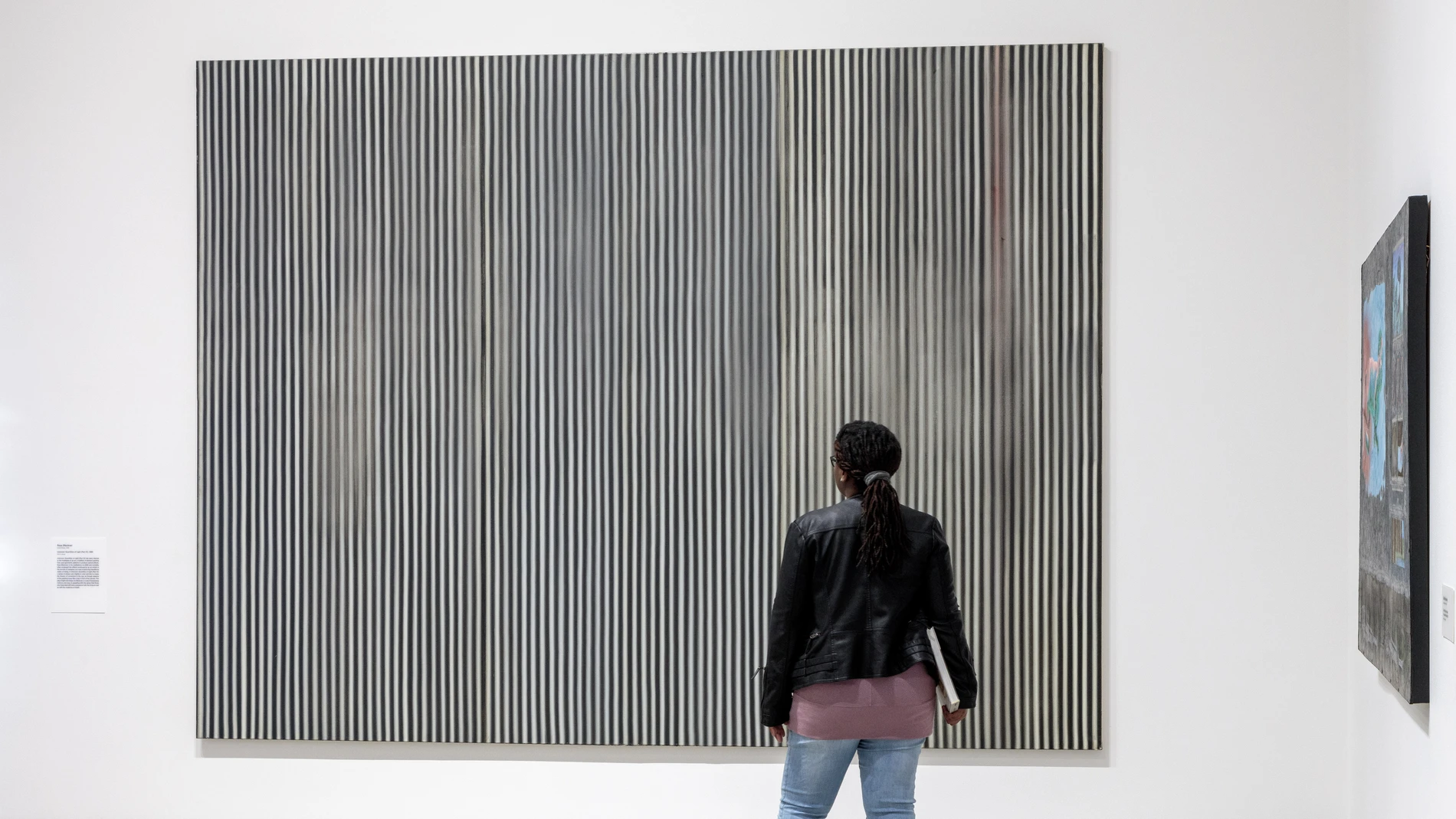 installation photo of Ross Bleckner's Unknown Quantities of Light (Part IV) at The Broad